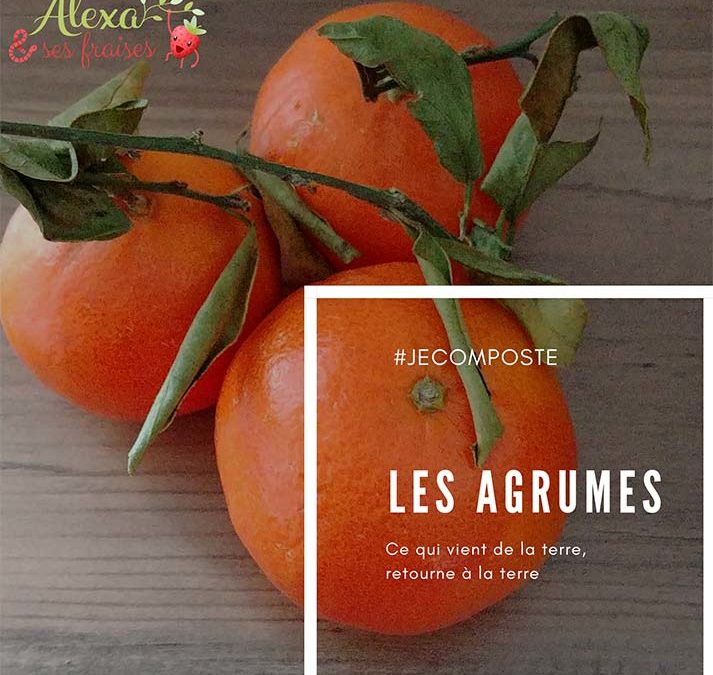 Les agrumes au compost !