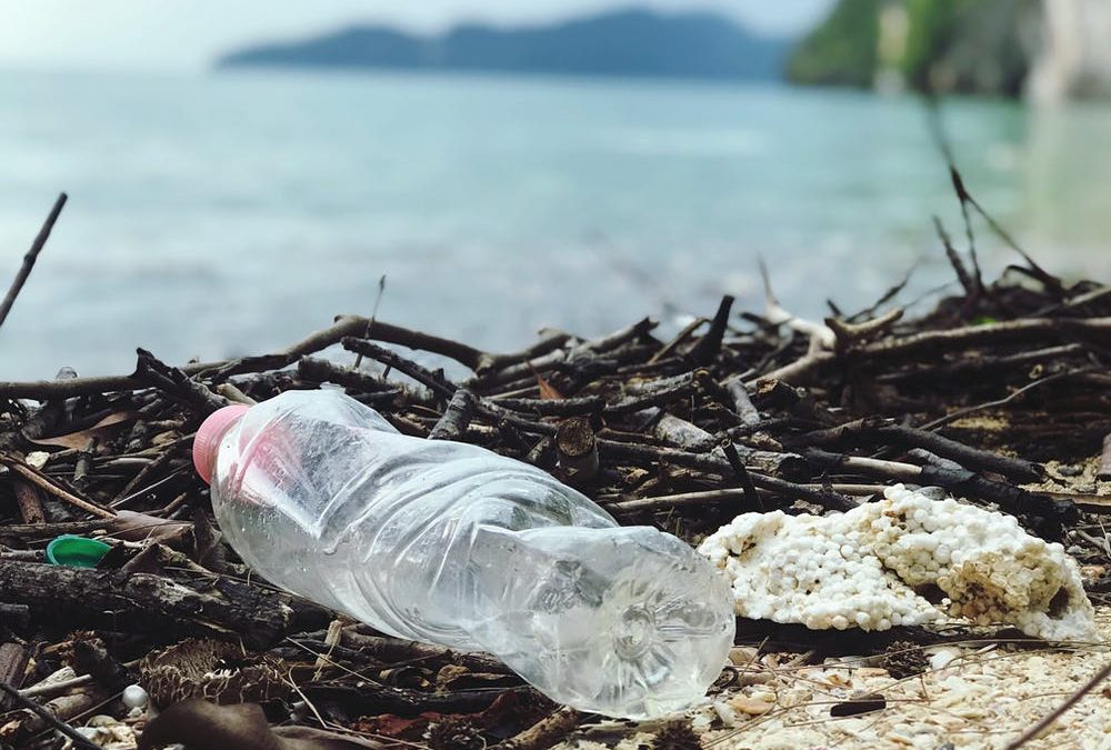 No Plastic Challenge : du 25 mai au 15 Juin 2021