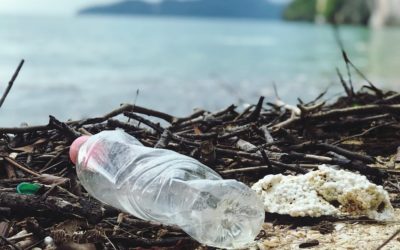 No Plastic Challenge : du 25 mai au 15 Juin 2021