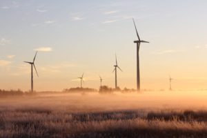 Éolien : base de données OREOL changements écologiques 2022